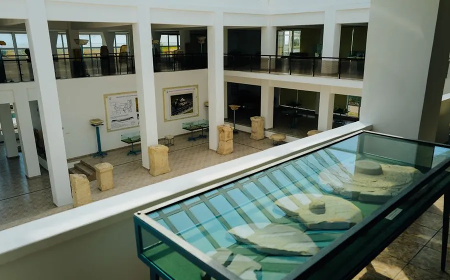 Lire une vitrine de musée sans se perdre